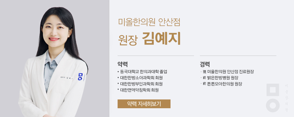 이력사진